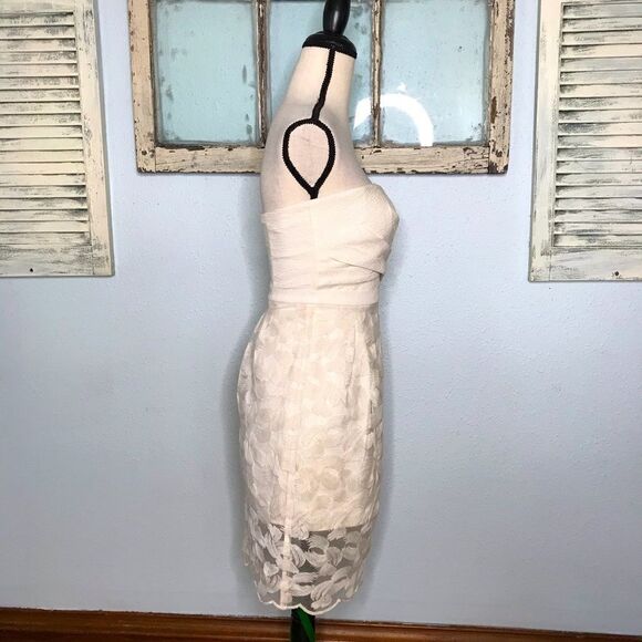 Gorgeous BCBGMAXAZRIA Strapless Dress - Picture 7 of 16